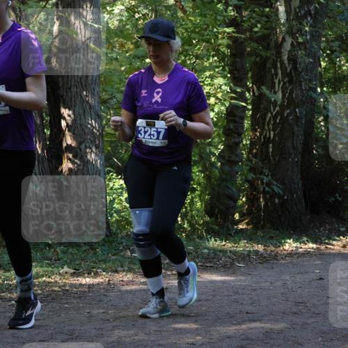 28.09.2025 - 33. Volkslauf durch das schöne Alstertal Strokosch-Dieckow http://msf.ph/oto/8969873 28.09.2025 11:37:15 Laufen 3250, 3257 meine-sportfotos.de