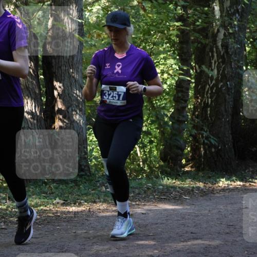 28.09.2025 - 33. Volkslauf durch das schöne Alstertal Strokosch-Dieckow http://msf.ph/oto/8969874 28.09.2025 11:37:15 Laufen 3258, 3257 meine-sportfotos.de
