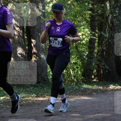 28.09.2025 - 33. Volkslauf durch das schöne Alstertal Strokosch-Dieckow http://msf.ph/oto/8969875 28.09.2025 11:37:15 Laufen 3256, 3257 meine-sportfotos.de