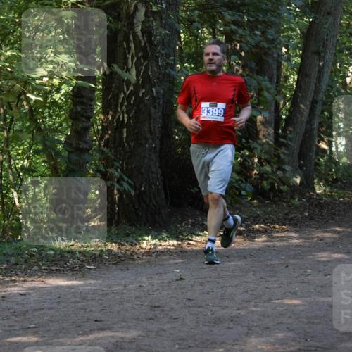 28.09.2025 - 33. Volkslauf durch das schöne Alstertal Strokosch-Dieckow http://msf.ph/oto/8969877 28.09.2025 11:37:20 Laufen 3399 meine-sportfotos.de