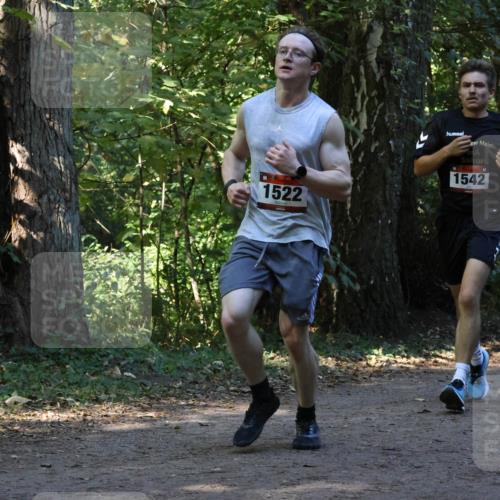 28.09.2025 - 33. Volkslauf durch das schöne Alstertal Strokosch-Dieckow http://msf.ph/oto/8969886 28.09.2025 11:37:30 Laufen 1522, 1542 meine-sportfotos.de
