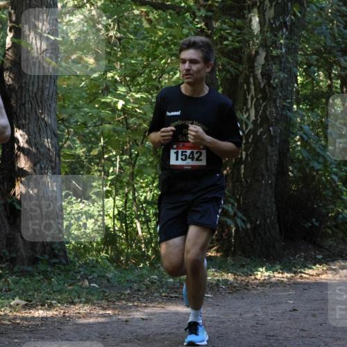 28.09.2025 - 33. Volkslauf durch das schöne Alstertal Strokosch-Dieckow http://msf.ph/oto/8969888 28.09.2025 11:37:31 Laufen 522, 1542 meine-sportfotos.de