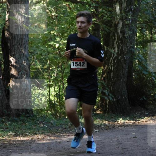28.09.2025 - 33. Volkslauf durch das schöne Alstertal Strokosch-Dieckow http://msf.ph/oto/8969889 28.09.2025 11:37:31 Laufen 1542 meine-sportfotos.de