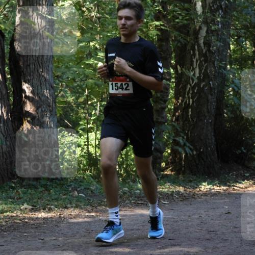 28.09.2025 - 33. Volkslauf durch das schöne Alstertal Strokosch-Dieckow http://msf.ph/oto/8969890 28.09.2025 11:37:31 Laufen 1542 meine-sportfotos.de