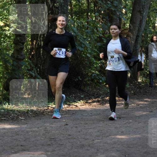 28.09.2025 - 33. Volkslauf durch das schöne Alstertal Strokosch-Dieckow http://msf.ph/oto/8969902 28.09.2025 11:37:51 Laufen 243, 3259, 1767, 3409, 1544 meine-sportfotos.de