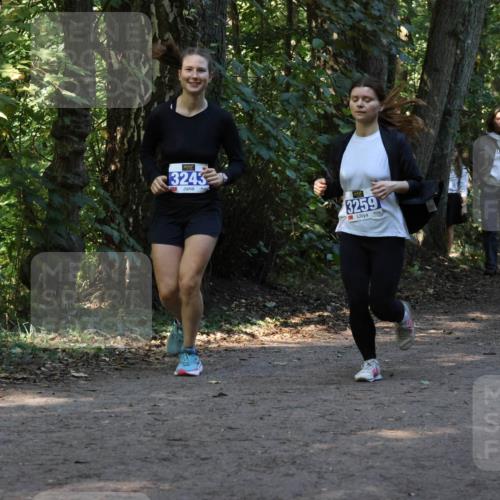 28.09.2025 - 33. Volkslauf durch das schöne Alstertal Strokosch-Dieckow http://msf.ph/oto/8969903 28.09.2025 11:37:51 Laufen 3243, 3259, 767, 1544, 3409 meine-sportfotos.de