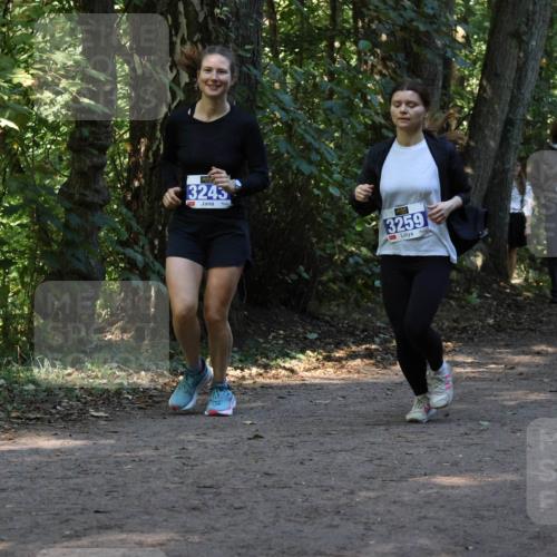 28.09.2025 - 33. Volkslauf durch das schöne Alstertal Strokosch-Dieckow http://msf.ph/oto/8969905 28.09.2025 11:37:51 Laufen 3243, 3259, 1767 meine-sportfotos.de