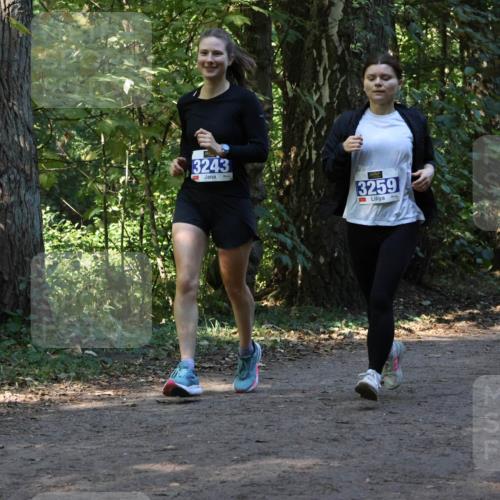 28.09.2025 - 33. Volkslauf durch das schöne Alstertal Strokosch-Dieckow http://msf.ph/oto/8969907 28.09.2025 11:37:52 Laufen 3243, 3259, 1767 meine-sportfotos.de