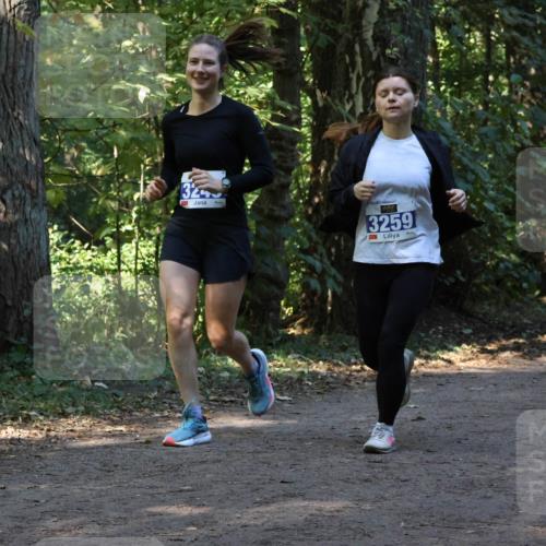 28.09.2025 - 33. Volkslauf durch das schöne Alstertal Strokosch-Dieckow http://msf.ph/oto/8969909 28.09.2025 11:37:52 Laufen 32, 3259, 1767 meine-sportfotos.de