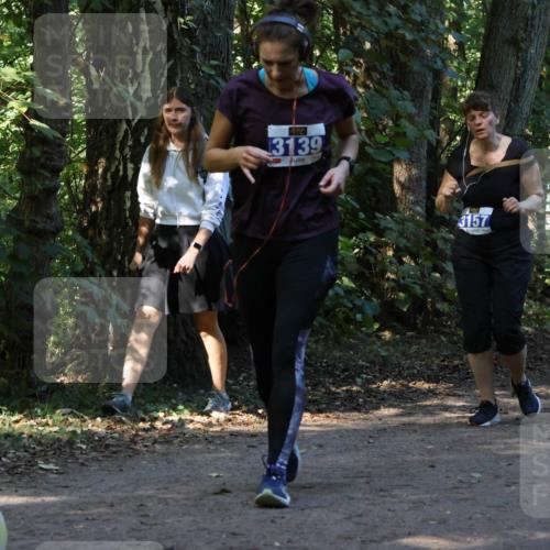 28.09.2025 - 33. Volkslauf durch das schöne Alstertal Strokosch-Dieckow http://msf.ph/oto/8969919 28.09.2025 11:38:08 Laufen 3139, 3157 meine-sportfotos.de