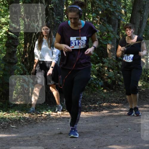 28.09.2025 - 33. Volkslauf durch das schöne Alstertal Strokosch-Dieckow http://msf.ph/oto/8969920 28.09.2025 11:38:08 Laufen 13139, 3157 meine-sportfotos.de