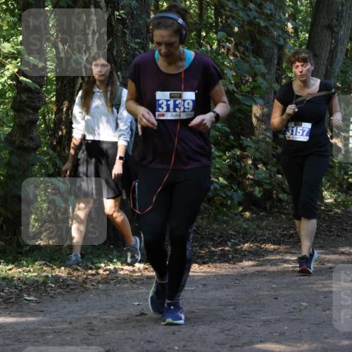 28.09.2025 - 33. Volkslauf durch das schöne Alstertal Strokosch-Dieckow http://msf.ph/oto/8969921 28.09.2025 11:38:08 Laufen 3139, 3157 meine-sportfotos.de