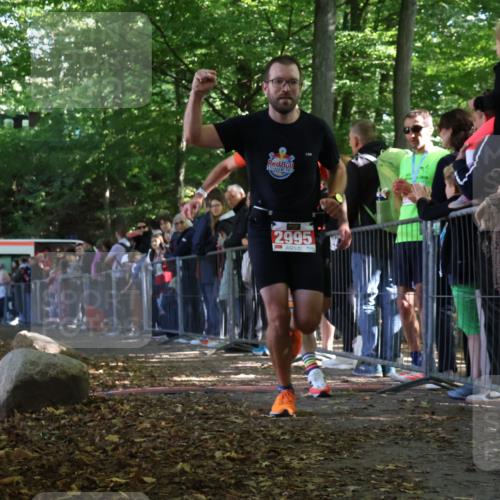 28.09.2025 - 33. Volkslauf durch das schöne Alstertal Strokosch-Dieckow http://msf.ph/oto/8969923 28.09.2025 11:50:43 Ziel 1570, 1864, 2995 meine-sportfotos.de