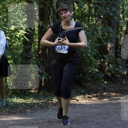 28.09.2025 - 33. Volkslauf durch das schöne Alstertal Strokosch-Dieckow http://msf.ph/oto/8969925 28.09.2025 11:38:11 Laufen 3157 meine-sportfotos.de