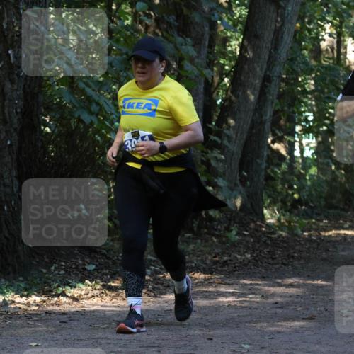 28.09.2025 - 33. Volkslauf durch das schöne Alstertal Strokosch-Dieckow http://msf.ph/oto/8969927 28.09.2025 11:38:17 Laufen 1550, 30 meine-sportfotos.de