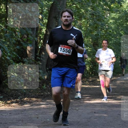 28.09.2025 - 33. Volkslauf durch das schöne Alstertal Strokosch-Dieckow http://msf.ph/oto/8969928 28.09.2025 11:38:18 Laufen 3911, 1550, 059 meine-sportfotos.de