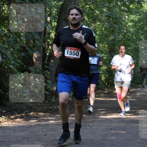 28.09.2025 - 33. Volkslauf durch das schöne Alstertal Strokosch-Dieckow http://msf.ph/oto/8969929 28.09.2025 11:38:18 Laufen 3911, 1550, 9058 meine-sportfotos.de
