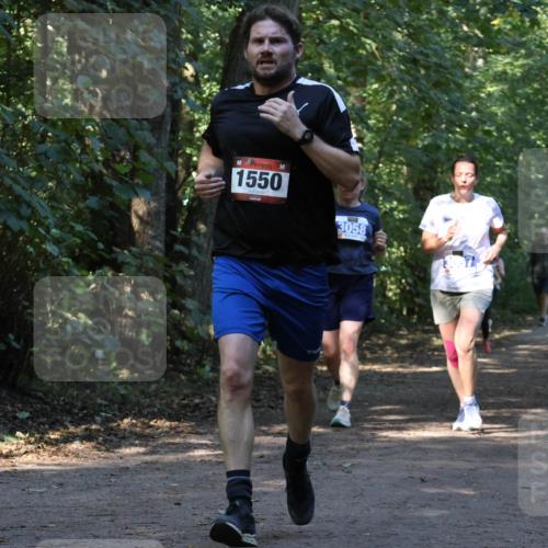 28.09.2025 - 33. Volkslauf durch das schöne Alstertal Strokosch-Dieckow http://msf.ph/oto/8969930 28.09.2025 11:38:18 Laufen 1550, 3911, 3058 meine-sportfotos.de