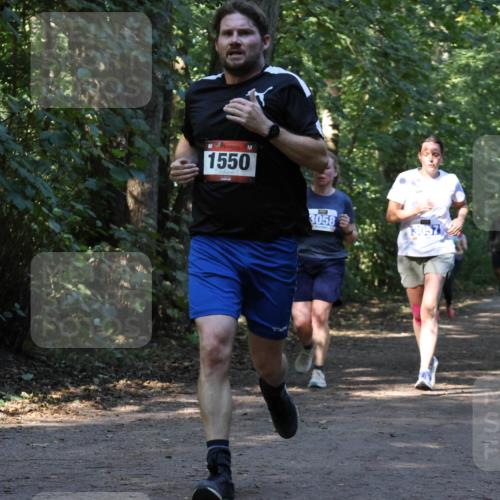 28.09.2025 - 33. Volkslauf durch das schöne Alstertal Strokosch-Dieckow http://msf.ph/oto/8969931 28.09.2025 11:38:18 Laufen 3911, 1550, 3058, 13057 meine-sportfotos.de
