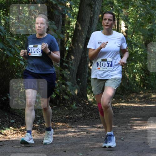 28.09.2025 - 33. Volkslauf durch das schöne Alstertal Strokosch-Dieckow http://msf.ph/oto/8969933 28.09.2025 11:38:20 Laufen 3058, 3057 meine-sportfotos.de