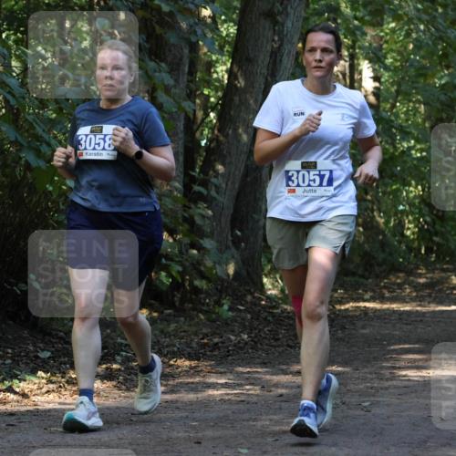 28.09.2025 - 33. Volkslauf durch das schöne Alstertal Strokosch-Dieckow http://msf.ph/oto/8969934 28.09.2025 11:38:20 Laufen 3058, 3057 meine-sportfotos.de