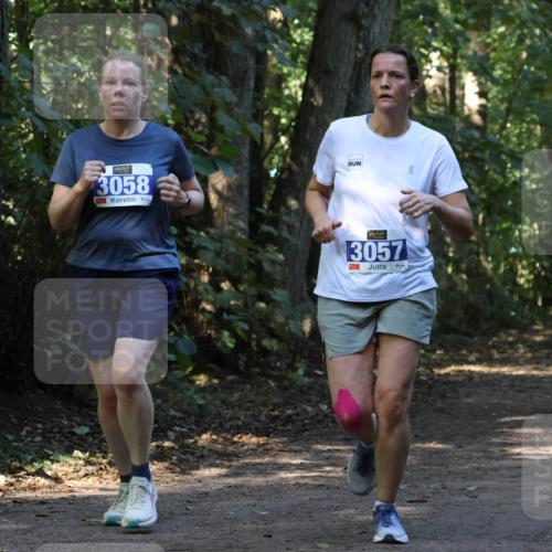 28.09.2025 - 33. Volkslauf durch das schöne Alstertal Strokosch-Dieckow http://msf.ph/oto/8969937 28.09.2025 11:38:20 Laufen 3058, 3057, 1, 60 meine-sportfotos.de