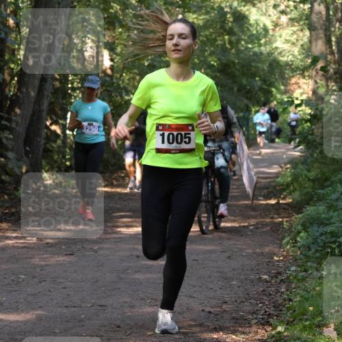 28.09.2025 - 33. Volkslauf durch das schöne Alstertal Strokosch-Dieckow http://msf.ph/oto/8969940 28.09.2025 11:38:34 Laufen 1005 meine-sportfotos.de