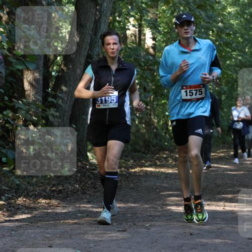28.09.2025 - 33. Volkslauf durch das schöne Alstertal Strokosch-Dieckow http://msf.ph/oto/8969950 28.09.2025 11:38:47 Laufen 3195, 1575 meine-sportfotos.de