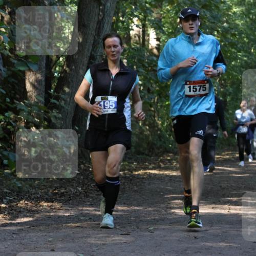 28.09.2025 - 33. Volkslauf durch das schöne Alstertal Strokosch-Dieckow http://msf.ph/oto/8969951 28.09.2025 11:38:47 Laufen 195, 1575 meine-sportfotos.de
