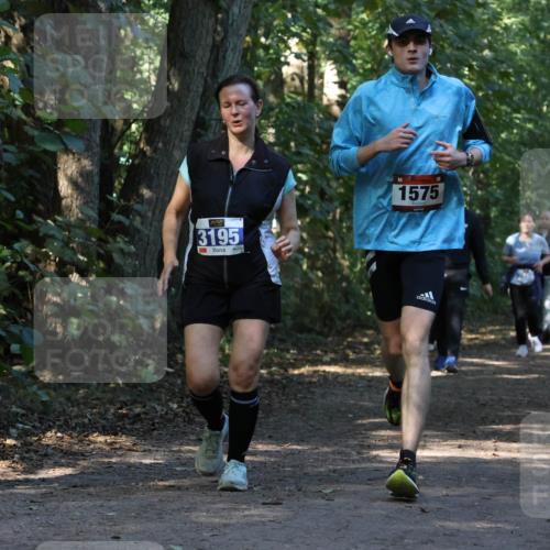 28.09.2025 - 33. Volkslauf durch das schöne Alstertal Strokosch-Dieckow http://msf.ph/oto/8969952 28.09.2025 11:38:47 Laufen 3195, 1575 meine-sportfotos.de