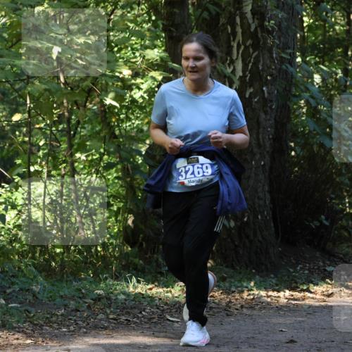 28.09.2025 - 33. Volkslauf durch das schöne Alstertal Strokosch-Dieckow http://msf.ph/oto/8969959 28.09.2025 11:39:01 Laufen 3269 meine-sportfotos.de