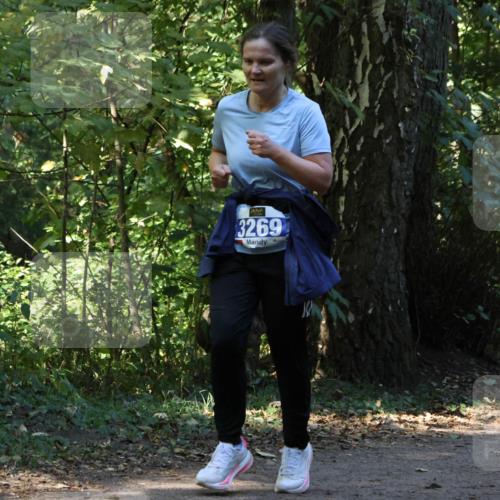 28.09.2025 - 33. Volkslauf durch das schöne Alstertal Strokosch-Dieckow http://msf.ph/oto/8969961 28.09.2025 11:39:01 Laufen 3269 meine-sportfotos.de