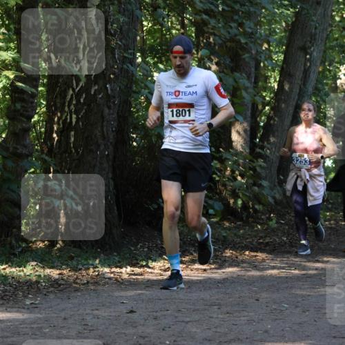 28.09.2025 - 33. Volkslauf durch das schöne Alstertal Strokosch-Dieckow http://msf.ph/oto/8969964 28.09.2025 11:39:14 Laufen 1801, 307, 3253 meine-sportfotos.de