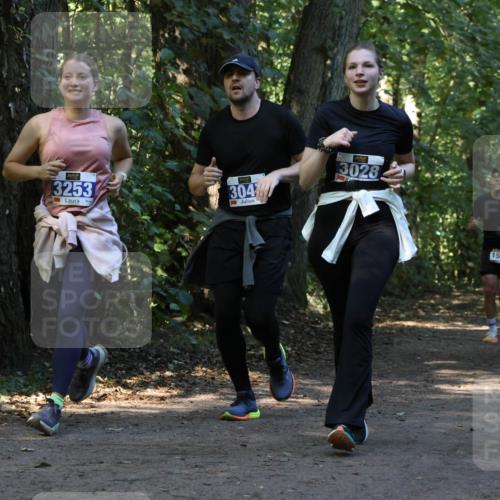 28.09.2025 - 33. Volkslauf durch das schöne Alstertal Strokosch-Dieckow http://msf.ph/oto/8969967 28.09.2025 11:39:16 Laufen 3253, 304, 3028, 1556 meine-sportfotos.de