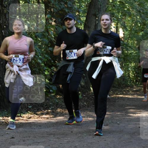 28.09.2025 - 33. Volkslauf durch das schöne Alstertal Strokosch-Dieckow http://msf.ph/oto/8969968 28.09.2025 11:39:16 Laufen 3253, 3047, 3028, 1556, 30 meine-sportfotos.de