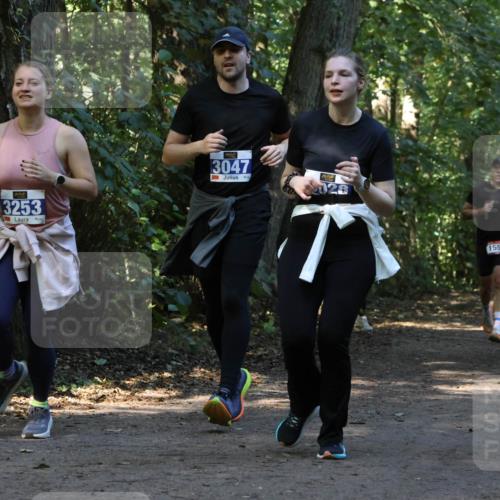 28.09.2025 - 33. Volkslauf durch das schöne Alstertal Strokosch-Dieckow http://msf.ph/oto/8969970 28.09.2025 11:39:17 Laufen 3253, 3047, 1556, 308 meine-sportfotos.de
