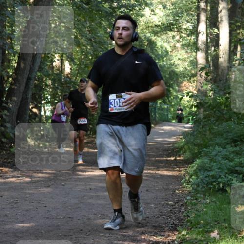 28.09.2025 - 33. Volkslauf durch das schöne Alstertal Strokosch-Dieckow http://msf.ph/oto/8969971 28.09.2025 11:39:18 Laufen 1556, 308 meine-sportfotos.de