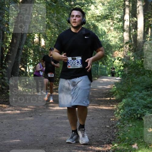 28.09.2025 - 33. Volkslauf durch das schöne Alstertal Strokosch-Dieckow http://msf.ph/oto/8969972 28.09.2025 11:39:18 Laufen 1556, 3083 meine-sportfotos.de