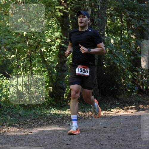 28.09.2025 - 33. Volkslauf durch das schöne Alstertal Strokosch-Dieckow http://msf.ph/oto/8969974 28.09.2025 11:39:22 Laufen 1556 meine-sportfotos.de