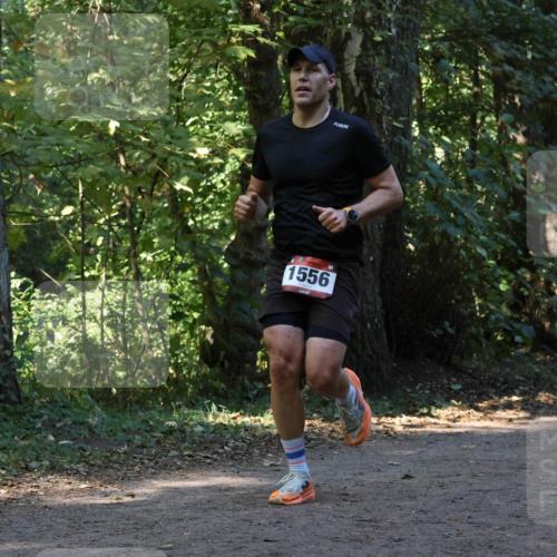 28.09.2025 - 33. Volkslauf durch das schöne Alstertal Strokosch-Dieckow http://msf.ph/oto/8969976 28.09.2025 11:39:22 Laufen 1556, 408 meine-sportfotos.de