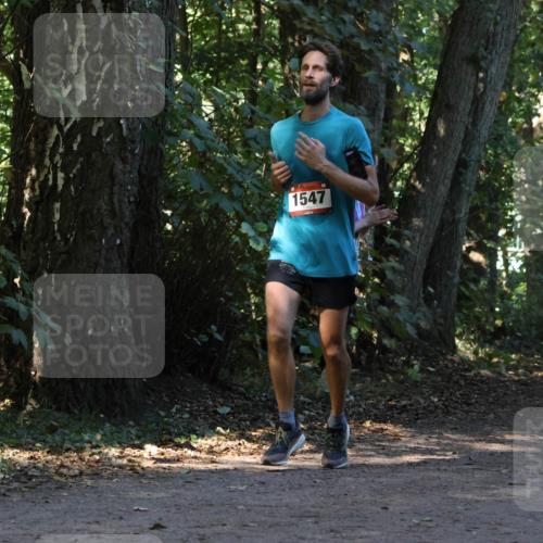 28.09.2025 - 33. Volkslauf durch das schöne Alstertal Strokosch-Dieckow http://msf.ph/oto/8969981 28.09.2025 11:39:29 Laufen 1547 meine-sportfotos.de