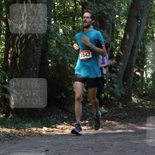 28.09.2025 - 33. Volkslauf durch das schöne Alstertal Strokosch-Dieckow http://msf.ph/oto/8969982 28.09.2025 11:39:29 Laufen 1547 meine-sportfotos.de
