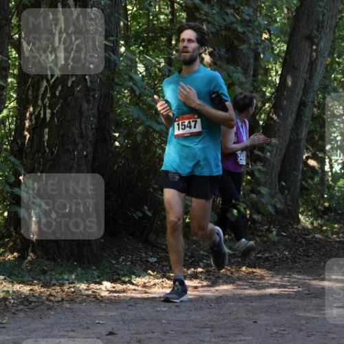 28.09.2025 - 33. Volkslauf durch das schöne Alstertal Strokosch-Dieckow http://msf.ph/oto/8969983 28.09.2025 11:39:29 Laufen 1547 meine-sportfotos.de