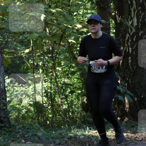 28.09.2025 - 33. Volkslauf durch das schöne Alstertal Strokosch-Dieckow http://msf.ph/oto/8969984 28.09.2025 11:39:43 Laufen 3517 meine-sportfotos.de