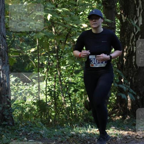 28.09.2025 - 33. Volkslauf durch das schöne Alstertal Strokosch-Dieckow http://msf.ph/oto/8969985 28.09.2025 11:39:43 Laufen 30 meine-sportfotos.de
