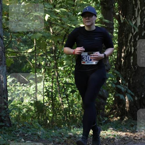 28.09.2025 - 33. Volkslauf durch das schöne Alstertal Strokosch-Dieckow http://msf.ph/oto/8969986 28.09.2025 11:39:43 Laufen 30 meine-sportfotos.de
