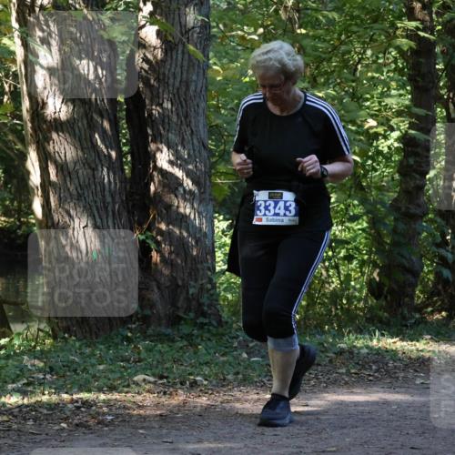 28.09.2025 - 33. Volkslauf durch das schöne Alstertal Strokosch-Dieckow http://msf.ph/oto/8969992 28.09.2025 11:39:58 Laufen 3343 meine-sportfotos.de