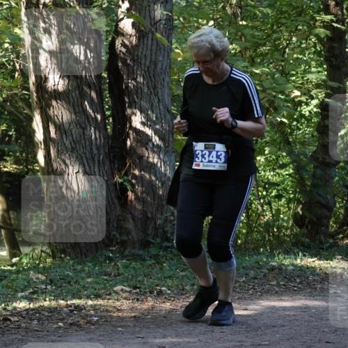 28.09.2025 - 33. Volkslauf durch das schöne Alstertal Strokosch-Dieckow http://msf.ph/oto/8969993 28.09.2025 11:39:58 Laufen 3343 meine-sportfotos.de