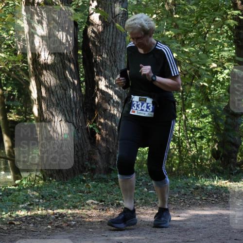 28.09.2025 - 33. Volkslauf durch das schöne Alstertal Strokosch-Dieckow http://msf.ph/oto/8969994 28.09.2025 11:39:59 Laufen 3343 meine-sportfotos.de
