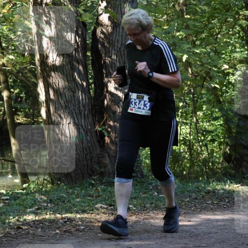 28.09.2025 - 33. Volkslauf durch das schöne Alstertal Strokosch-Dieckow http://msf.ph/oto/8969995 28.09.2025 11:39:59 Laufen 3343 meine-sportfotos.de